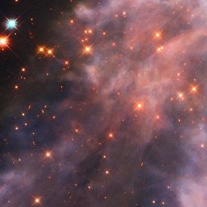 Meet your Posher, Aska